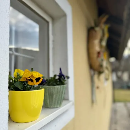 Kleines Haeuschen Im Tauernstaedtchen Gmuend Villa Exterior photo