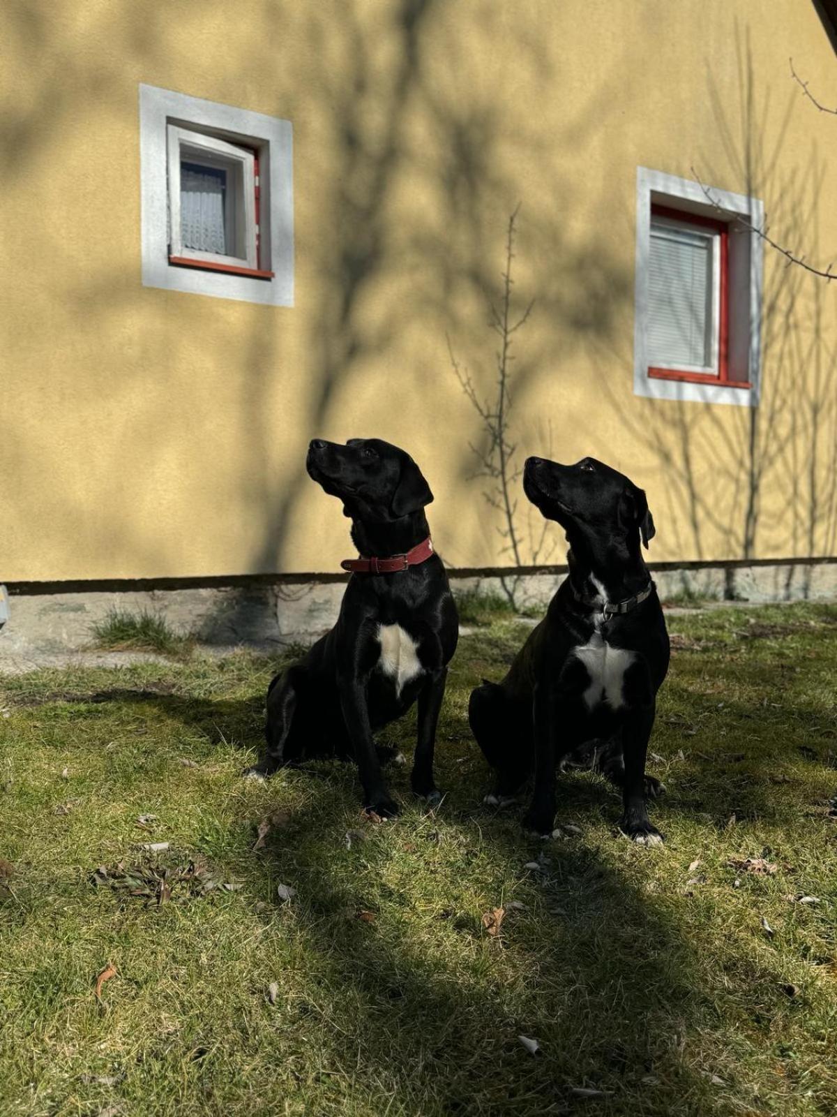 Kleines Haeuschen Im Tauernstaedtchen * Gmund in Karnten
