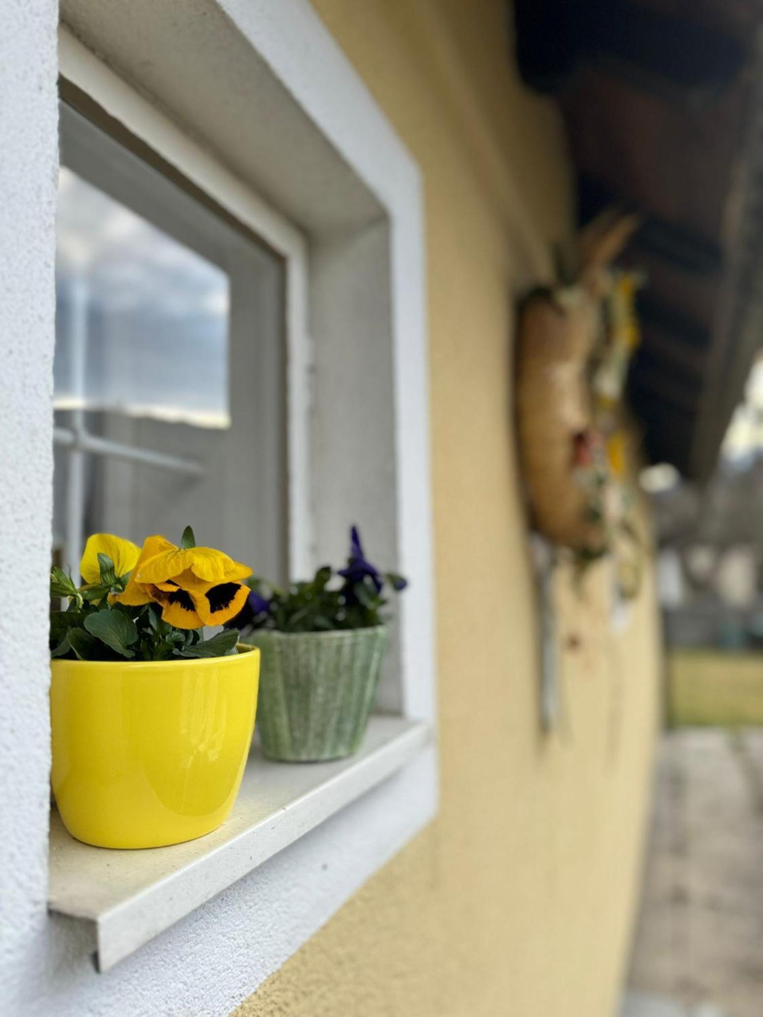 Kleines Haeuschen Im Tauernstaedtchen Holiday home